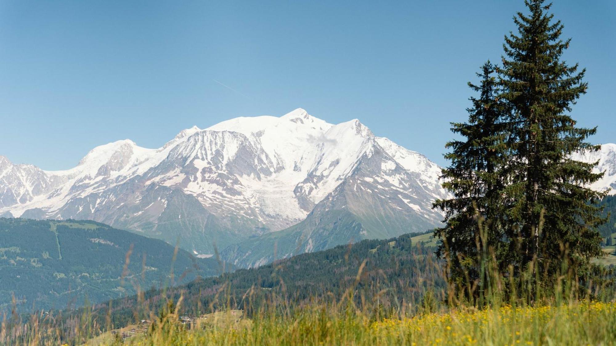Chalet Alpen Valley, Mont-Blanc Combloux Eksteriør bilde